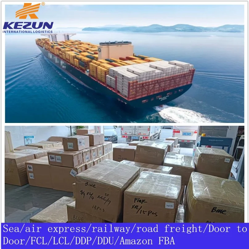 1688/Alibaba Container Shipping Forwarder Sea Freight Agent From China to Iraq with Customs Clearance Best Price