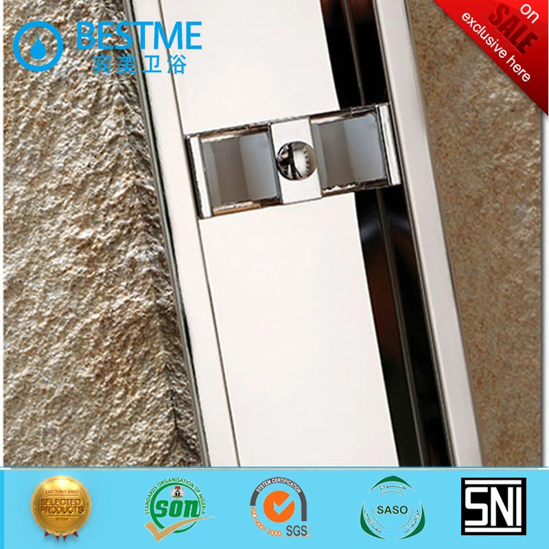 Two Sliding Door Stainless Steel Frame Sanitary Shower Door (BL-B0087-P)