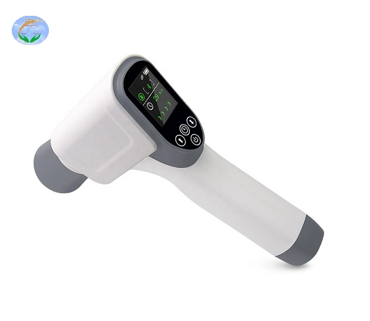 CE ISO China Manufacture Handheld Physical Therapy Equipments Ultrasound for Clinic and Home