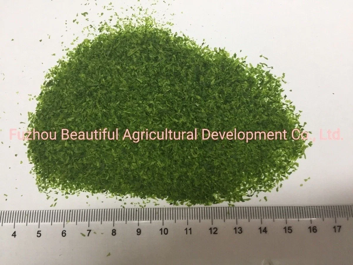 Comida Natural Aditivos Cor Verde análises efectuadas secas Flocos de algas para snacks