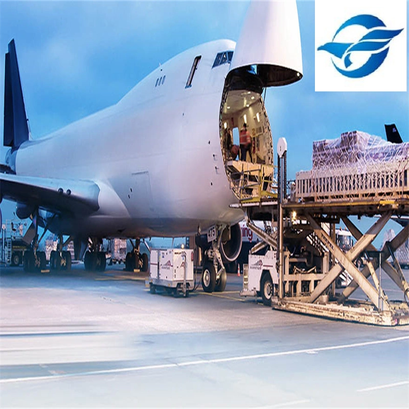 Professional Air Freight Forwarder Shipping to Serbia Logistics Service