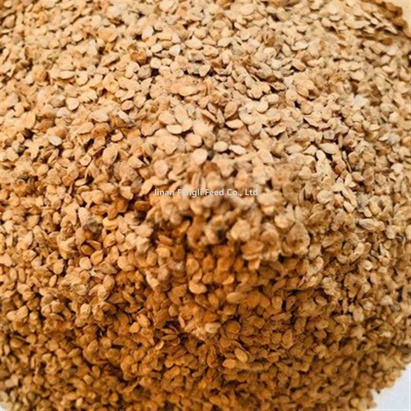 High Quality Shandong, Jinan, Beer Lees Are Rich in Protein Feed Grade Feed Beer Lees