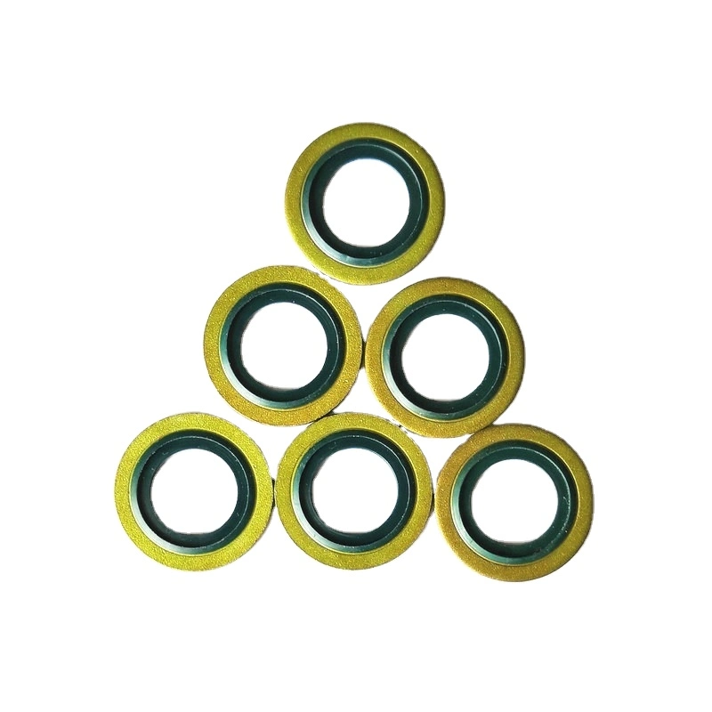 Hot Sale Different Size Colored Stainless Steel Spring Energized Seal