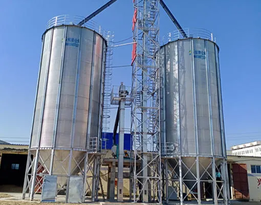 500/1000/1500 Ton Corn Grain Bin Storage Silo Price Cost for Sale Steel Metal Wheat Paddy Seed Maize Storage Silo