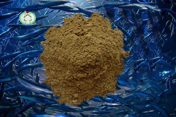 Fish Meal Animal Feed Additives Protein Min65%