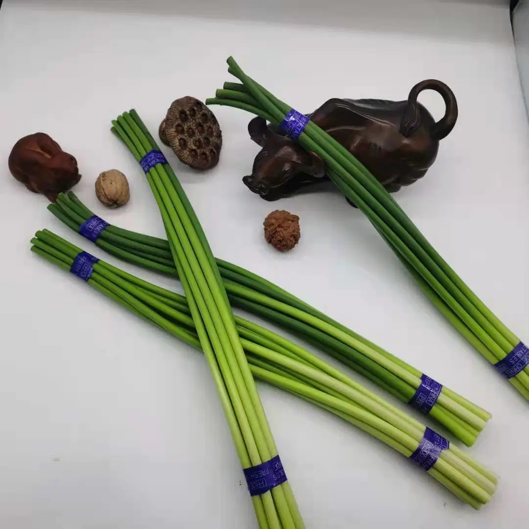 China Young Garlic Shoot, 250g One Bundle