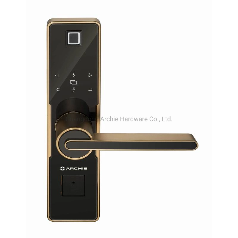Арчи биометрический считыватель отпечатков пальцев карты Smart без ключа цифровой замок двери водителя