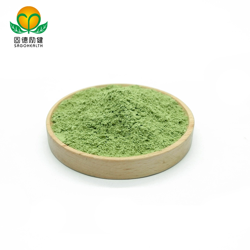 مسحوق جديد لقطعةGMP معتمدة من Matcha Powder