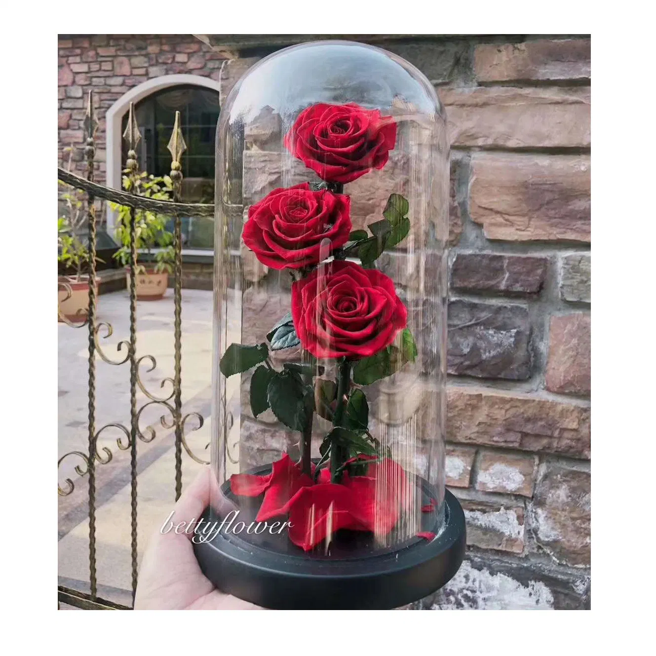 Wholesale New Design for Living Room Real Natural Preserved Roses Eternal Rose in Glass