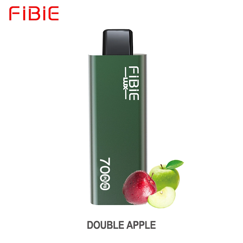 Cigarette électronique 10 ml Vape Pod rechargeable Fibie 7000puffs Vape jetable Stylo