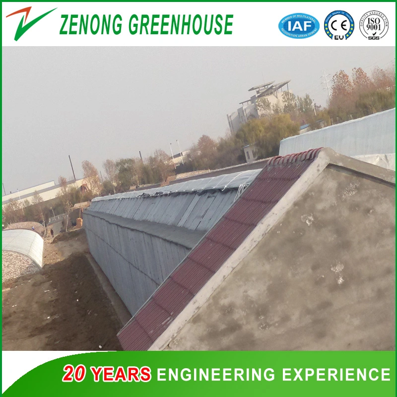 Hot Sale UV Coated Po Film Covered Solar Greenhouse with Favorable Price