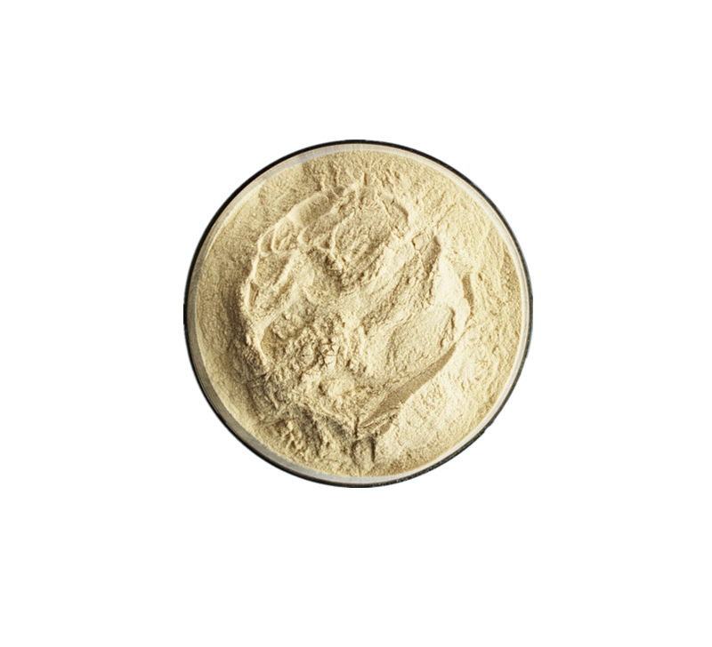 100% Natural Powder Manufacturer Root Ginseng Extract