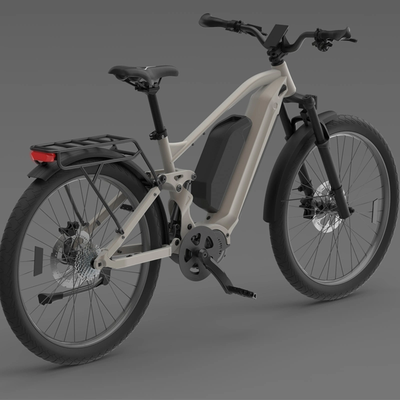 China OEM 1000W MID Drive Electric Bicycle