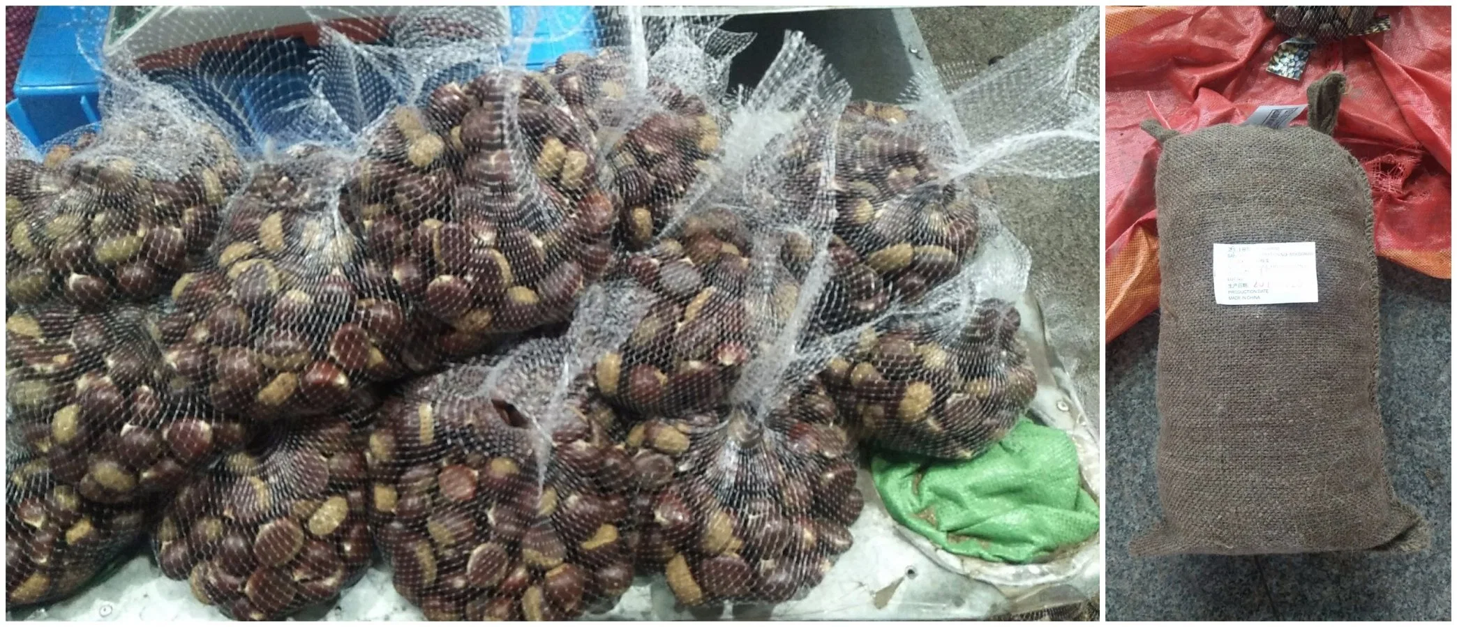 Taian Chestnut Exporting to Israel