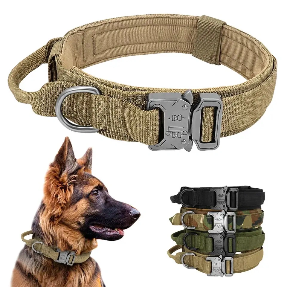 Wholesale Adjustable Outdoor Runing Nylon Stainless Buckle Pet Training Collar for Medium Large Dog