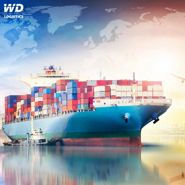 Sea Freight Dangerous Goods by Shipping From China to Asia/Europe/America/Canada