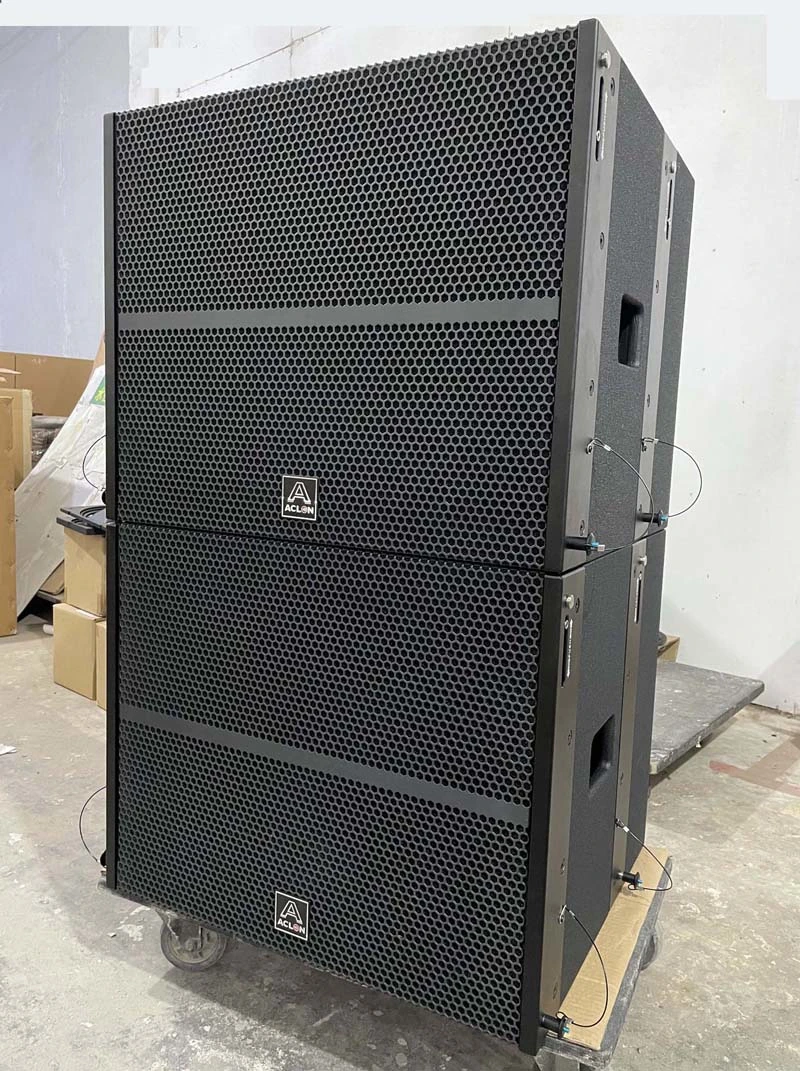 Aclon Audio Double 8 Inch Compact Active Line Array System for Church Conference Hall