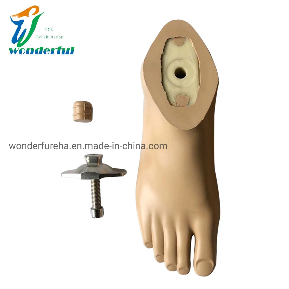 Miembros artificiales pie artificial impermeable con núcleo plástico Prosthetic Sach Pie Prosthetics pie