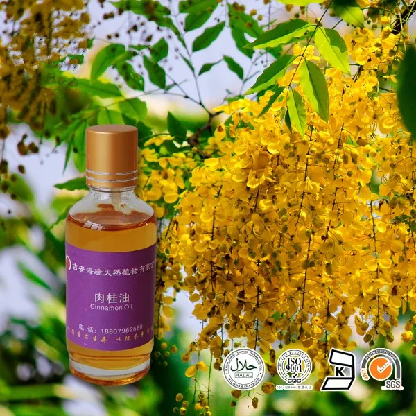 Cassia Puro Aceite de alta calidad y sabor natural de las plantas de pasta de dientes enjuague bucal gárgaras Gum chino Aceite de canela