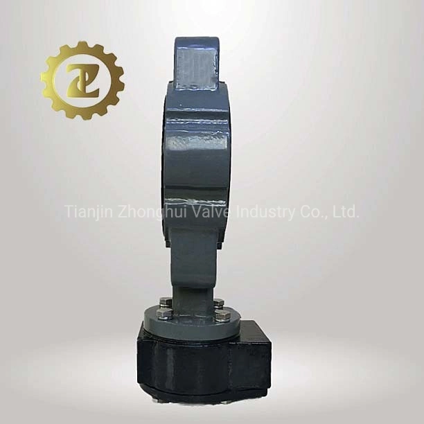 Semi Lugged Butterfly Valve Cast Iron Body Pn10 Pn 16