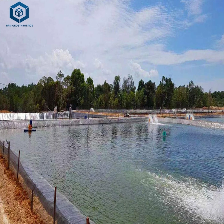 Otros productos de trabajo en tierra Geomembrane 0,5mm para peces Camarones Pond in Perú