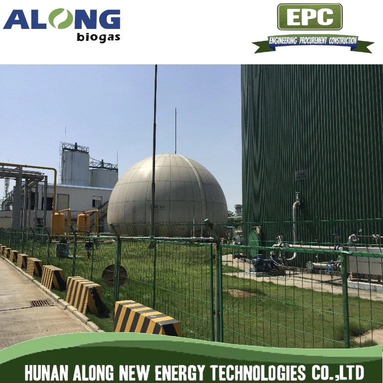 Cow Farm Double Membrane Biogas Holder Methane Storage Plant