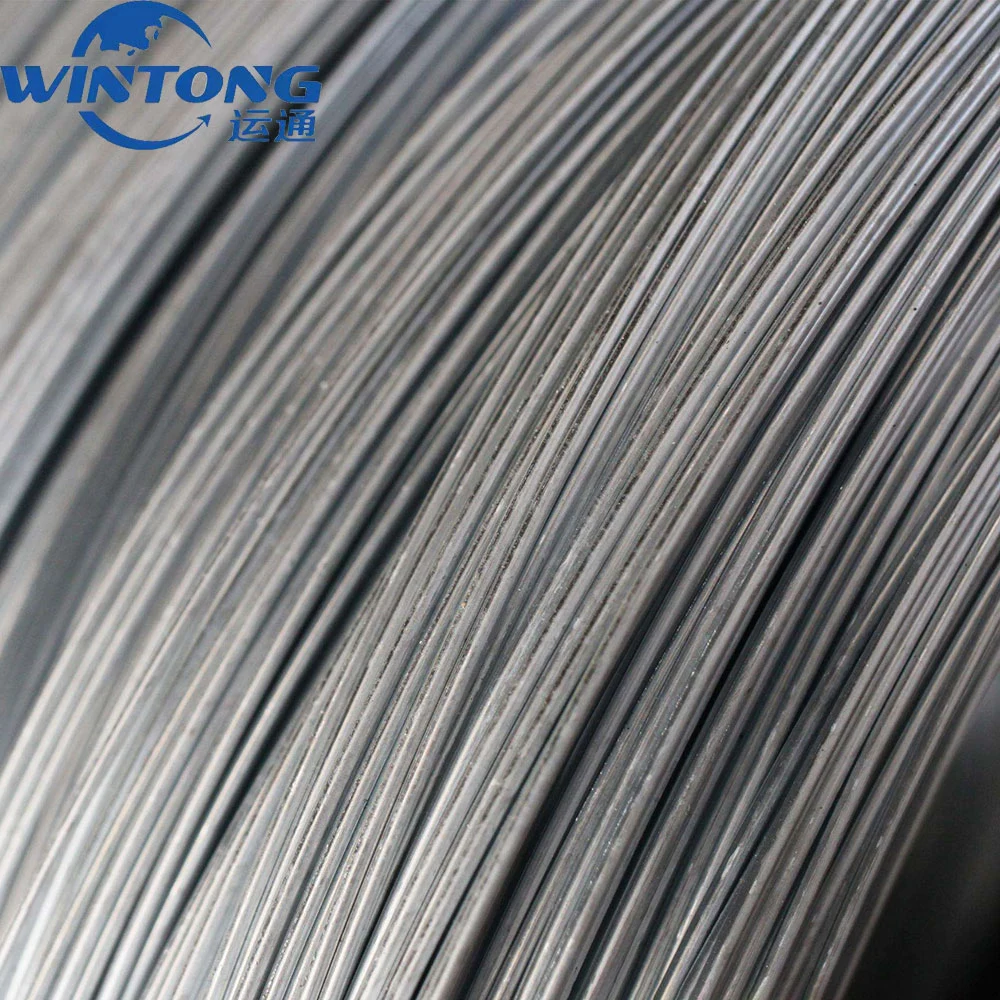 Galvanized / Low Carbon Steel /W 19/ Corrosion Prevention / Wire Diameter 0.71mm/ Steel Wire