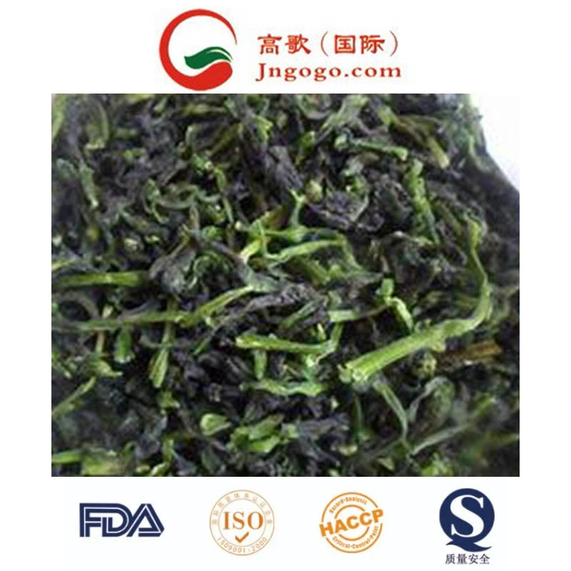 High quality/High cost performance Frozen Olive for Exporting and Frozen Vegetables