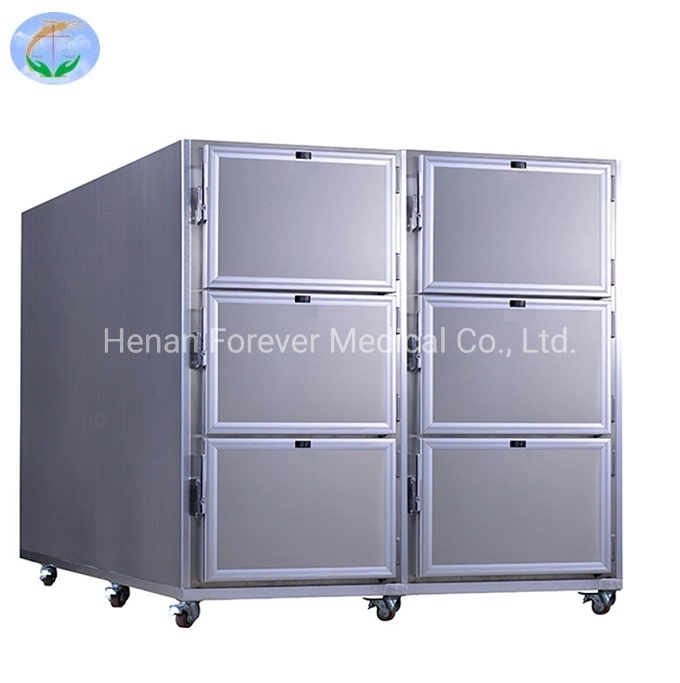 Hospital Transport Mortuary Coolers 6 Bodies Cooler Refrigerator