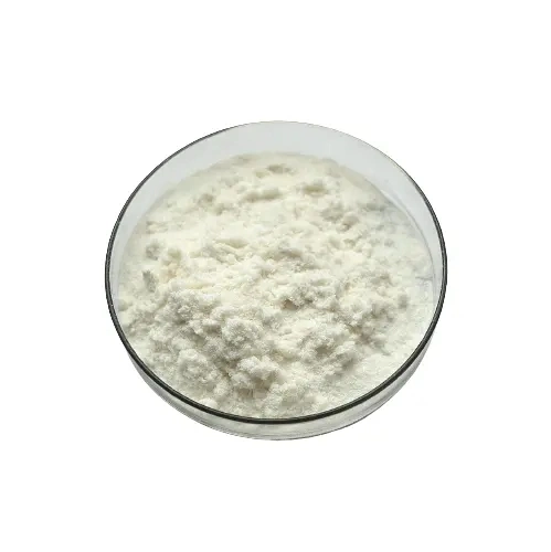 Best Price Nootropics Fasoracetam Powder CAS 110958-19-5 in Stock