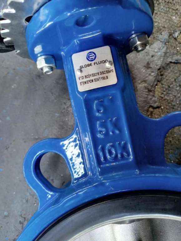 Water Control Valve Cast Iron Butterfly