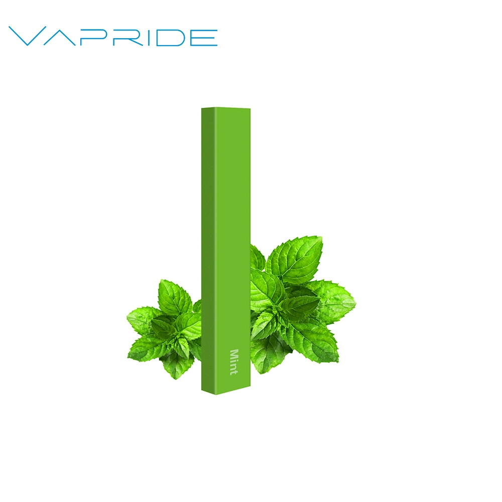 Made in China E Cigarette 300 Puffs OEM 0%-5% Nic Energy Mini Disposable/Chargeable Vape Pen