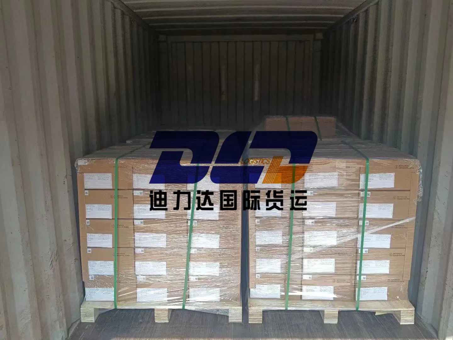 Sea Freight Dangerous Goods by Shipping From China to Asia/Europe/America/Canada