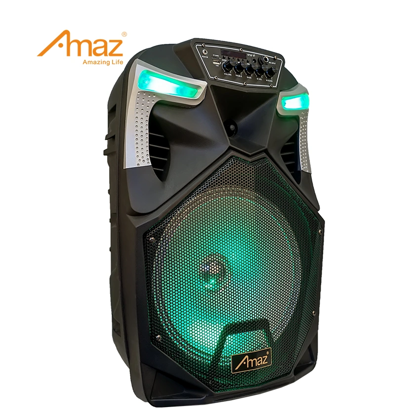 Amaz China Speaker Factory 12inch Trolley Speaker Karaoke DJ Bluetooth Speakers