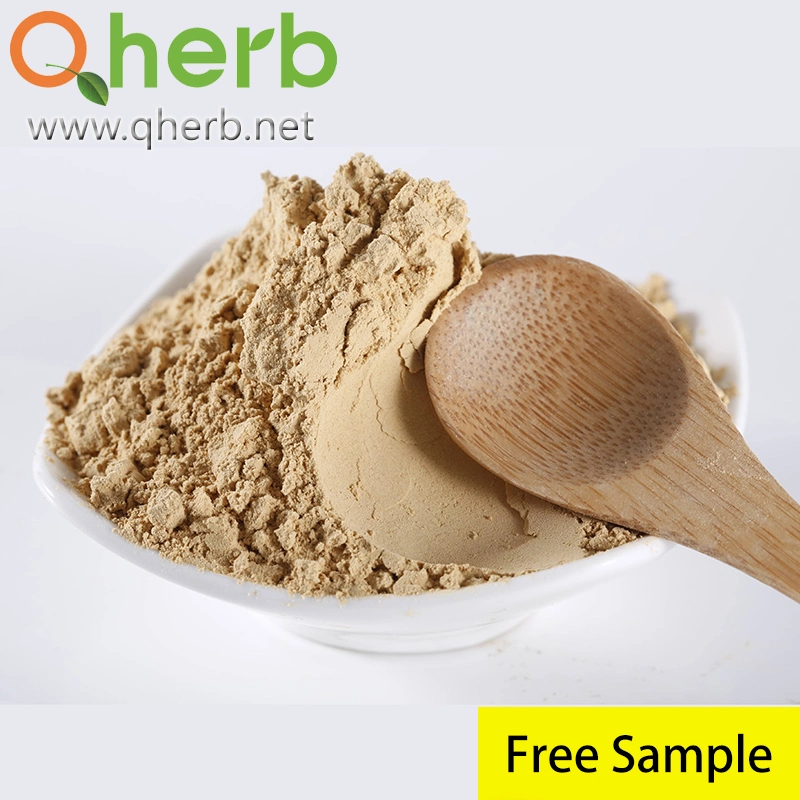 Radix Pseudoginseng Powder 100 Mesh (San Qi Fen)