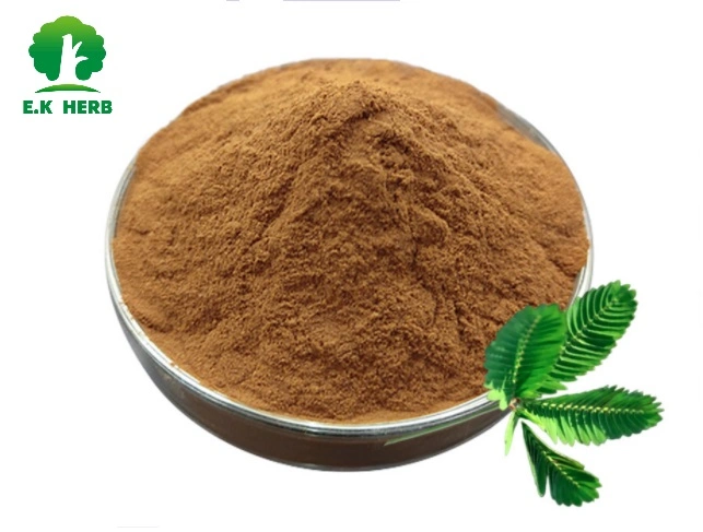 E. K Herb fábrica de China 13 años Extracto Vegetal Extracto disponible Extracto Vegetal 100% Natural Extracto Mimosa Hostilis Extracto Corteza raíz/Extracto Mimosa pudica