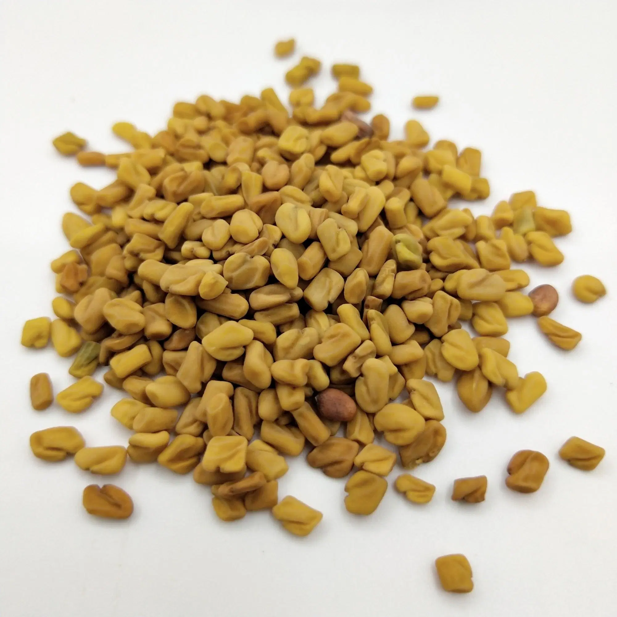 High quality/High cost performance  Best Selling 10%, 20% 50% Saponins Fenugreek Seed Trigonella Foenum Graecum Extract