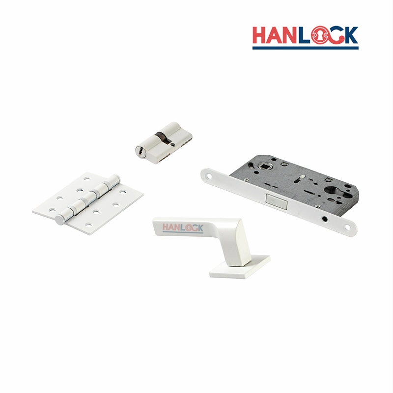 2021 New Design Modern House Door Lock Accessories Handle Level