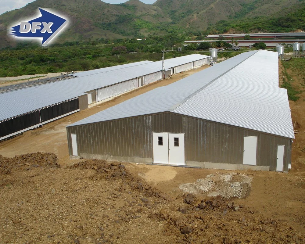 China Price Prefabricated Poultry Used Steel Chicken House Trusses