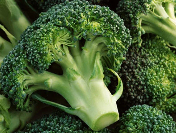 Anti Cancer Broccoli Extract Powder