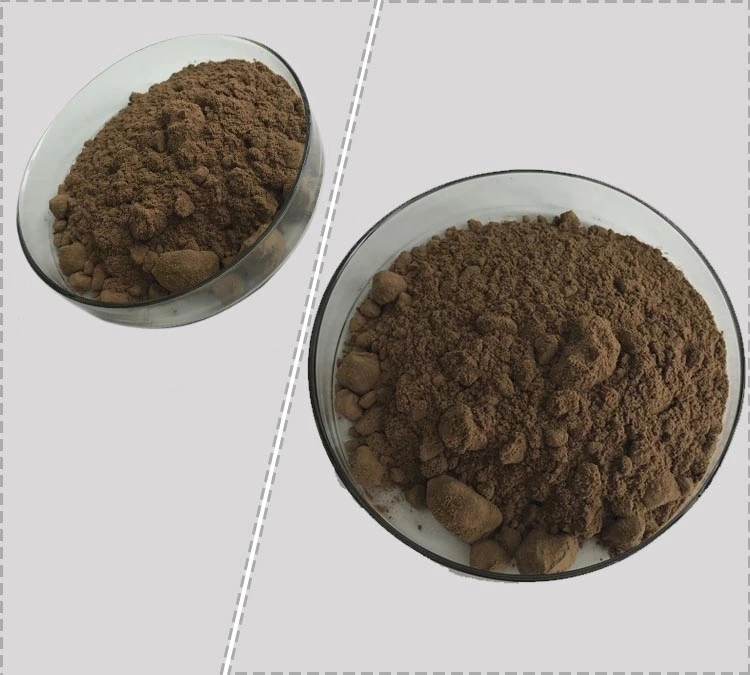 Enhance Immunity Ganoderma Lucidum Spore Powder