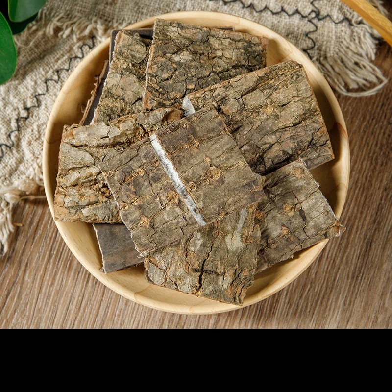 La médecine traditionnelle chinoise Herbes Herbes Oragnic Eucommia Ulmoides pour la santé