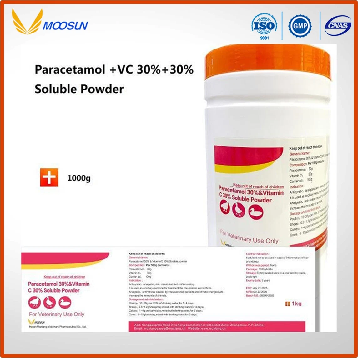 Veterinary Medicine 30% Paracetamol +30% Vitaminc Water Soluble Powder Animal Drug