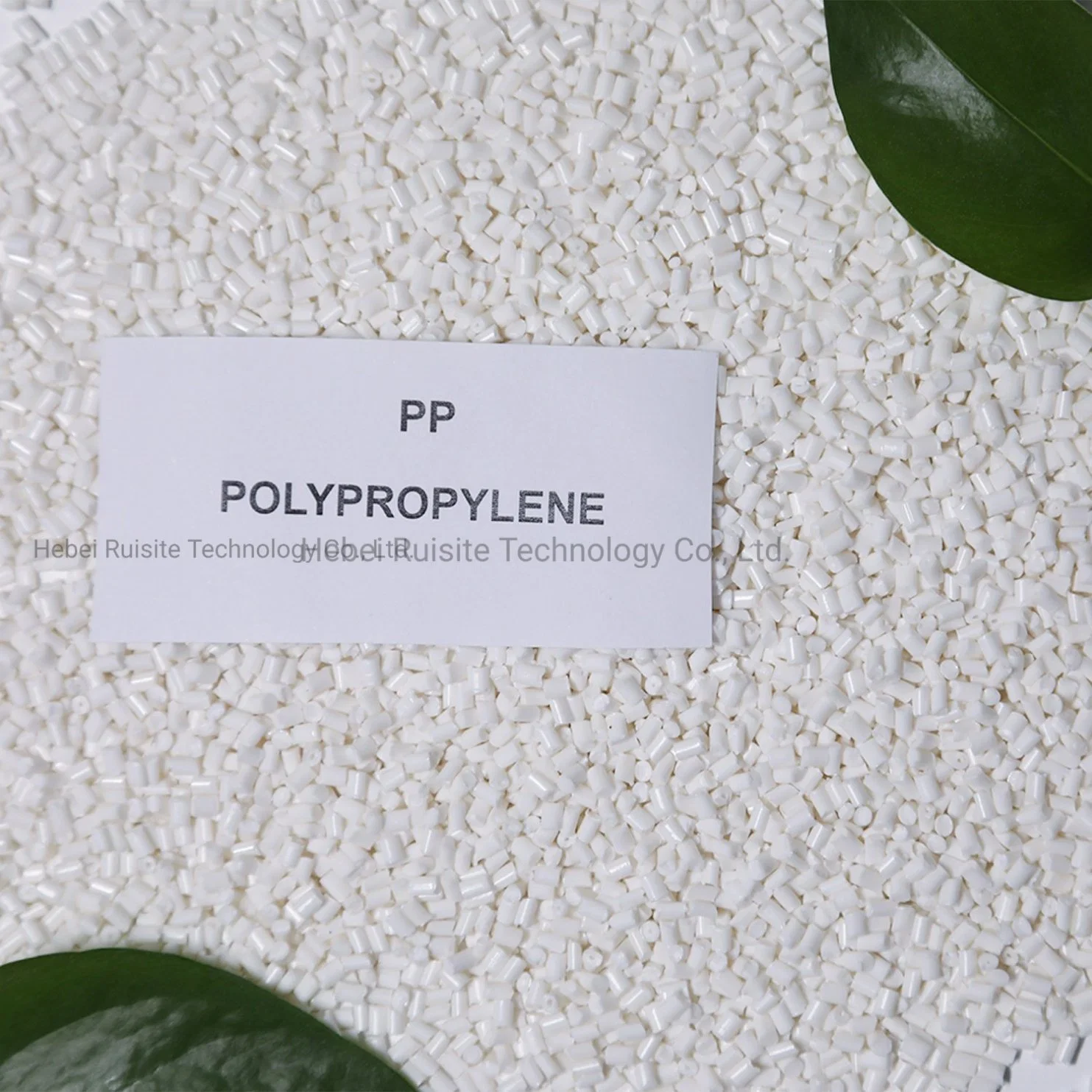 Plastic Raw Material Polypropylene PP Granules Used for PVC/Pipes and Plates/Packaging/Film