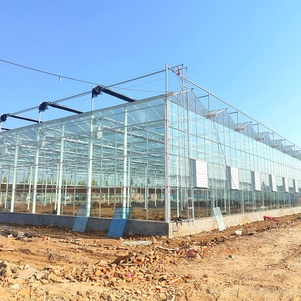 Agriculture Film Glass Solar Greenhouse for Cherry/Lettuce/Pepper/Cauliflower with Cooling/Heating Fan Outside/Inside Shading