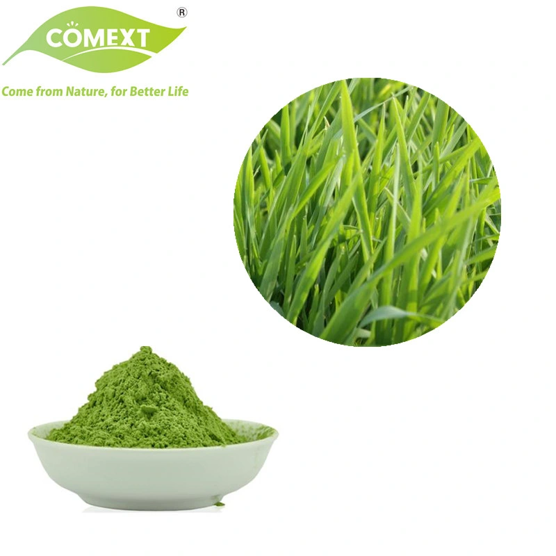 Comext USA Warehouse in Stock Free Sample High Quality Organic Wheat Grass Powder