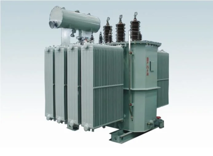 6-10 Kv Power Transformer and Distribution Transformer with Oil Type and Dry Type