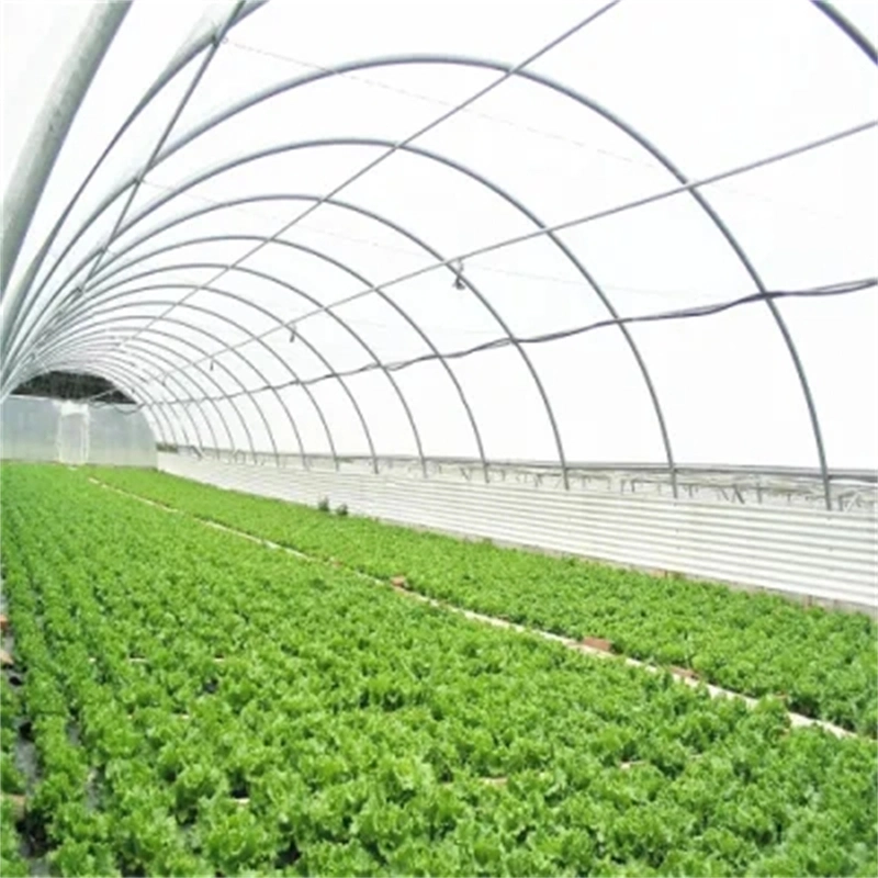 Hot Sale Vegetable Garden Cultivation Hydroponic System Thin Film Greenhouse