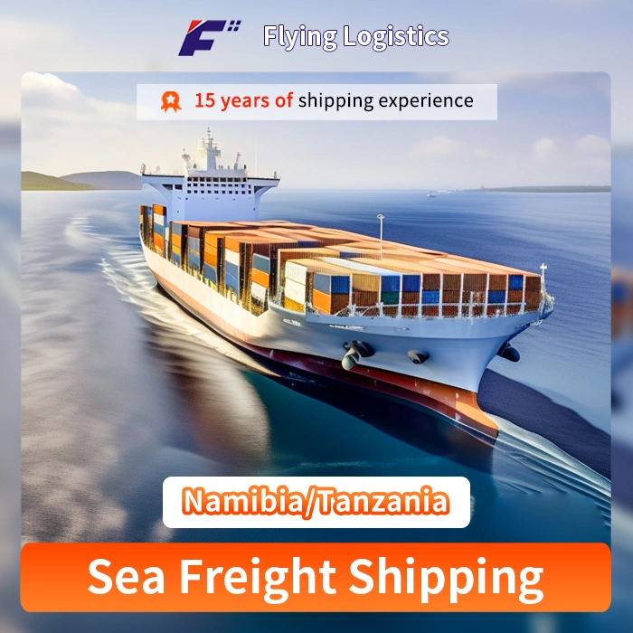 International Logistics and Transportation to Namibia Tanzania Shipping Agent