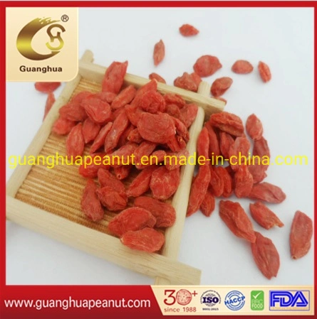 Good Sale Dried Goji Berry From China